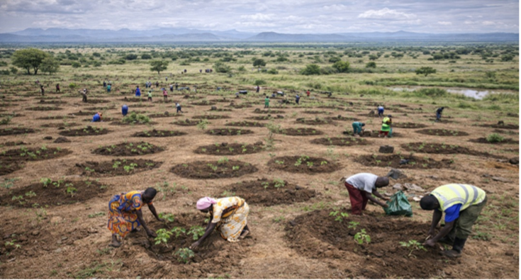 Ecosystem Restoration and Landscape Management